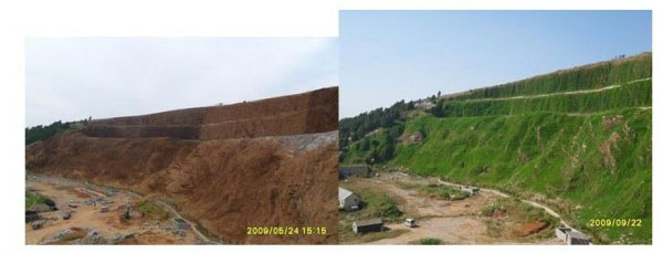 護坡綠化工程種植草坪前后 護坡綠化工程種植草坪前后