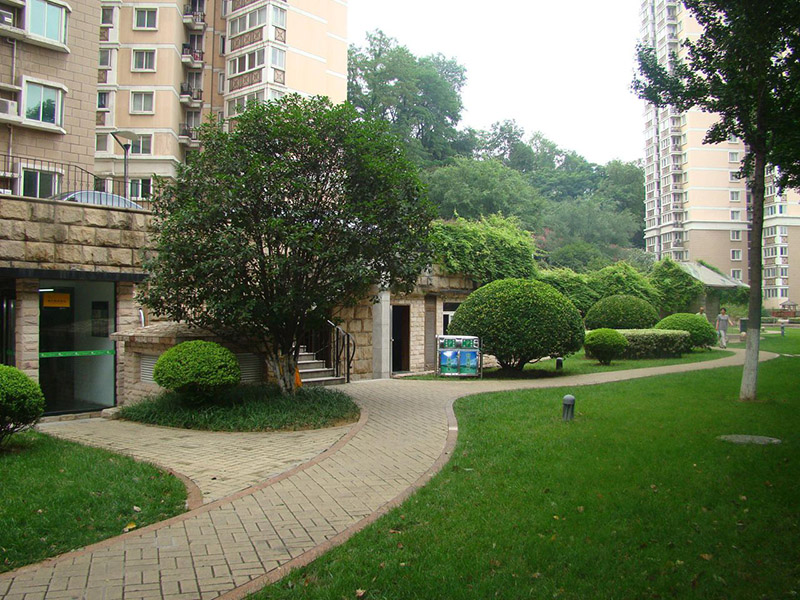 小區(qū)庭院住宅院子園林綠化苗木品種 小區(qū)庭院住宅院子園林綠化苗木品種