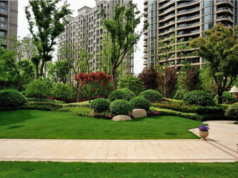小區(qū)庭院住宅院子園林綠化苗木品種 小區(qū)庭院住宅院子園林綠化苗木品種